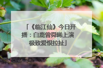 《临江仙》今日开播：白鹿曾舜晞上演极致爱恨拉扯