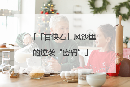 「甘快看」风沙里的逆袭“密码”