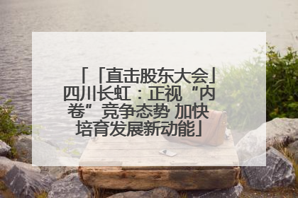 「直击股东大会」四川长虹：正视“内卷”竞争态势 加快培育发展新动能