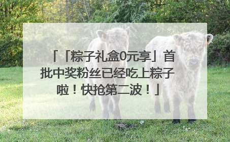 「粽子礼盒0元享」首批中奖粉丝已经吃上粽子啦！快抢第二波！