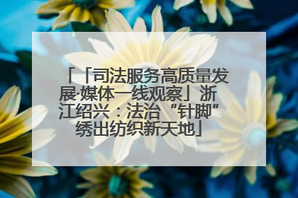「司法服务高质量发展·媒体一线观察」浙江绍兴：法治“针脚”绣出纺织新天地