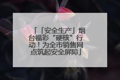 「安全生产」烟台福彩“硬核”行动！为全市销售网点筑起安全屏障