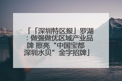「深圳特区报」罗湖：做强做优区域产业品牌 擦亮“中国宝都 深圳水贝”金字招牌