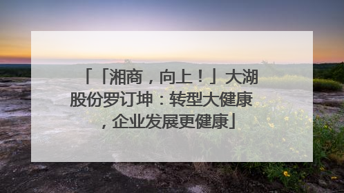 「湘商，向上！」大湖股份罗订坤：转型大健康，企业发展更健康