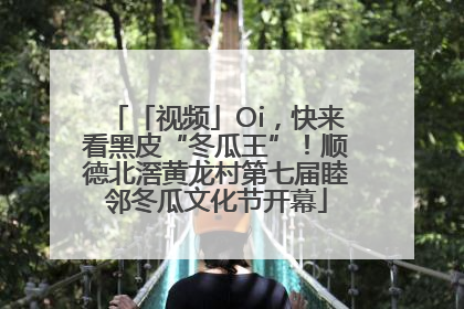 「视频」Oi，快来看黑皮“冬瓜王”！顺德北滘黄龙村第七届睦邻冬瓜文化节开幕