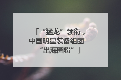 “猛龙”领衔，中国明星装备组团“出海圈粉”