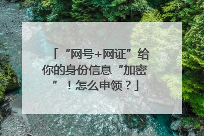 “网号+网证”给你的身份信息“加密”！怎么申领？