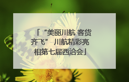 “美丽川航 客货齐飞” 川航精彩亮相第七届西洽会
