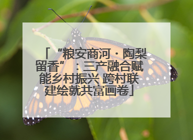 “粮安商河・陶梨留香”：三产融合赋能乡村振兴 跨村联建绘就共富画卷