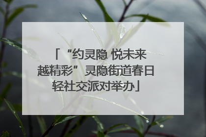 “约灵隐 悦未来 越精彩”灵隐街道春日轻社交派对举办