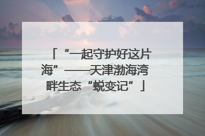 “一起守护好这片海”——天津渤海湾畔生态“蜕变记”
