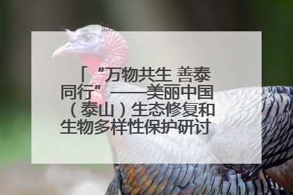 “万物共生 善泰同行”——美丽中国（泰山）生态修复和生物多样性保护研讨会成功举办