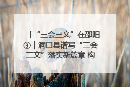 “三会三文”在邵阳③｜洞口县谱写“三会三文”落实新篇章 构建协同联动大格局