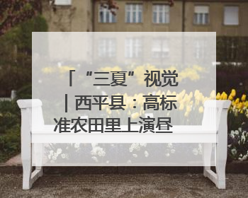 “三夏”视觉｜西平县：高标准农田里上演昼夜不停的“速度与激情”