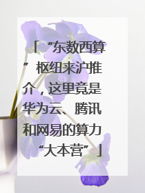 “东数西算”枢纽来沪推介，这里竟是华为云、腾讯和网易的算力“大本营”