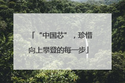 “中国芯”，珍惜向上攀登的每一步