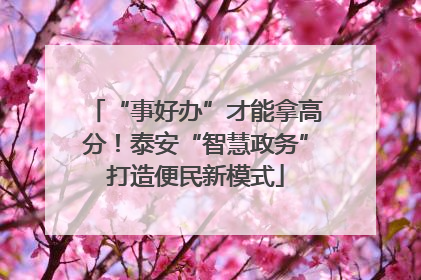 “事好办”才能拿高分！泰安“智慧政务”打造便民新模式