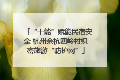 “十能”赋能民宿安全 杭州余杭四岭村织密旅游“防护网”