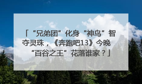 “兄弟团”化身“神鸟”智夺灵珠，《奔跑吧13》今晚“百谷之王”花落谁家？