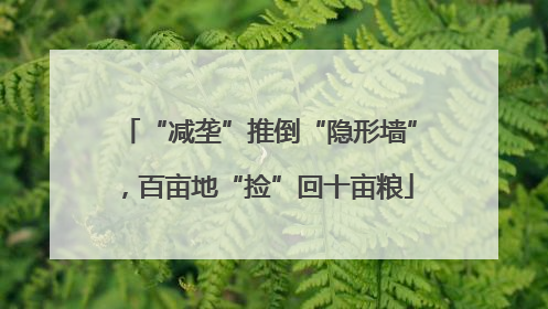 “减垄”推倒“隐形墙”，百亩地“捡”回十亩粮