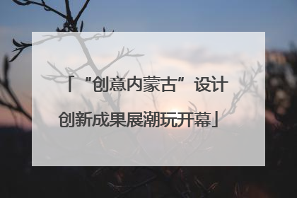 “创意内蒙古”设计创新成果展潮玩开幕