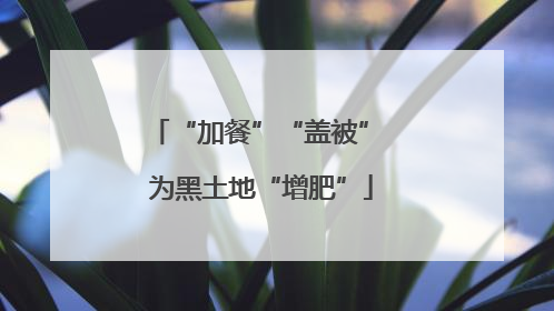 “加餐”“盖被” 为黑土地“增肥”