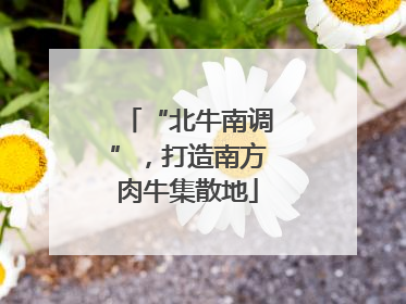 “北牛南调”，打造南方肉牛集散地