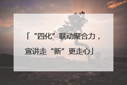 “四化”联动聚合力，宣讲走“新”更走心