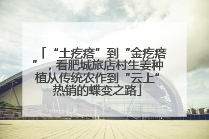 “土疙瘩”到“金疙瘩”，看肥城旅店村生姜种植从传统农作到“云上”热销的蝶变之路