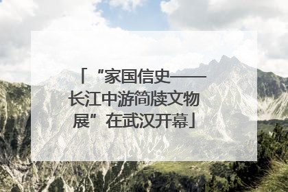“家国信史——长江中游简牍文物展”在武汉开幕