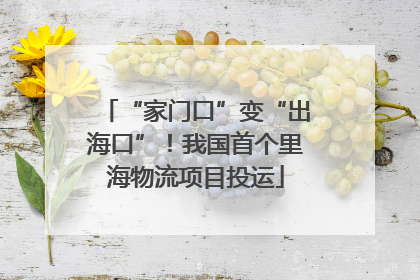“家门口”变“出海口”！我国首个里海物流项目投运