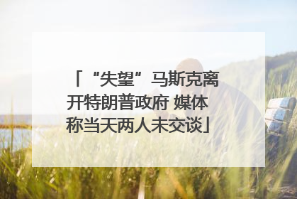 “失望”马斯克离开特朗普政府 媒体称当天两人未交谈
