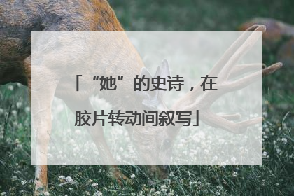 “她”的史诗，在胶片转动间叙写