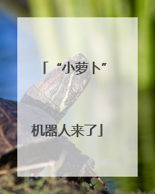 “小萝卜”机器人来了