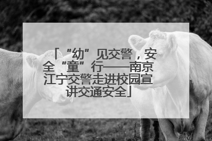 “幼”见交警，安全“童”行——南京江宁交警走进校园宣讲交通安全