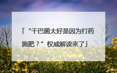 “干巴菌太好是因为打药施肥？”权威解读来了