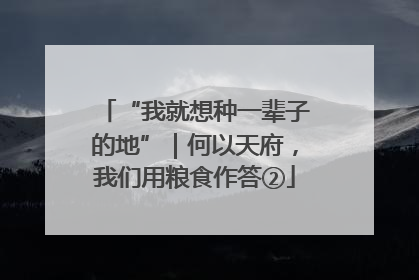 “我就想种一辈子的地”｜何以天府，我们用粮食作答②