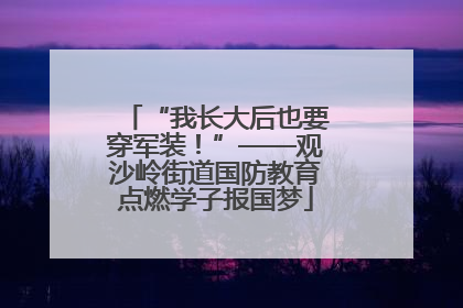 “我长大后也要穿军装！”——观沙岭街道国防教育点燃学子报国梦