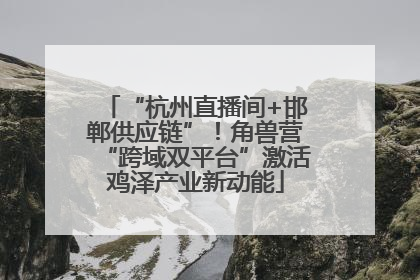 “杭州直播间+邯郸供应链”！角兽营“跨域双平台”激活鸡泽产业新动能