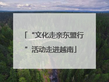 “文化走亲东盟行”活动走进越南
