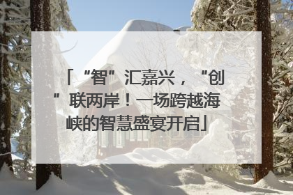“智”汇嘉兴，“创”联两岸！一场跨越海峡的智慧盛宴开启