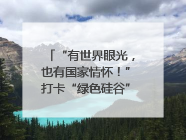 “有世界眼光，也有国家情怀！”打卡“绿色硅谷”，博主新解乐山｜网络名人四川行