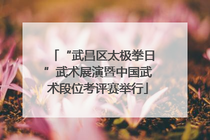 “武昌区太极拳日”武术展演暨中国武术段位考评赛举行