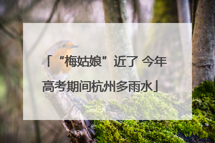 “梅姑娘”近了 今年高考期间杭州多雨水
