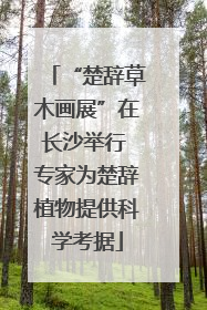“楚辞草木画展”在长沙举行 专家为楚辞植物提供科学考据