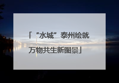 “水城”泰州绘就万物共生新图景