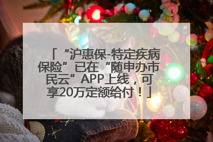 “沪惠保-特定疾病保险”已在“随申办市民云”APP上线，可享20万定额给付！