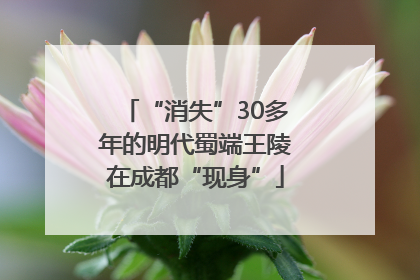 “消失”30多年的明代蜀端王陵在成都“现身”