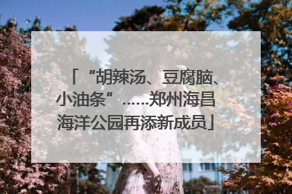 “胡辣汤、豆腐脑、小油条”……郑州海昌海洋公园再添新成员