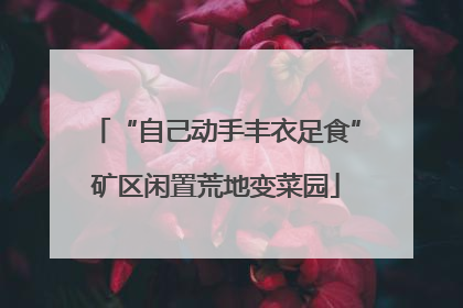 “自己动手丰衣足食”矿区闲置荒地变菜园